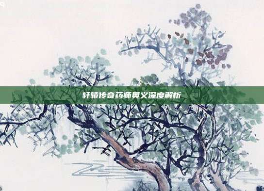 轩辕传奇药师奥义深度解析