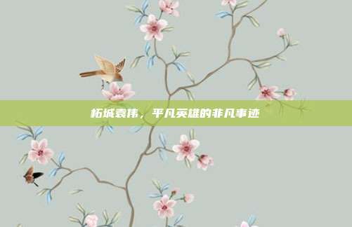 柘城袁伟,平凡英雄的非凡事迹