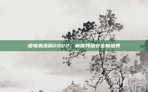 诺顿激活码2022,解锁网络安全新境界