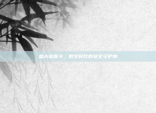 盛大密保卡,数字时代的安全守护神