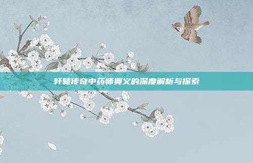 轩辕传奇中药师奥义的深度解析与探索