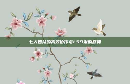 七人团队的高效协作与1.59米的默契