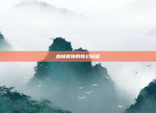 森林猢狲的奇幻旅程