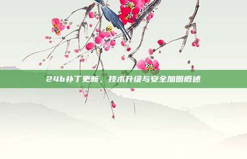 24b补丁更新,技术升级与安全加固概述