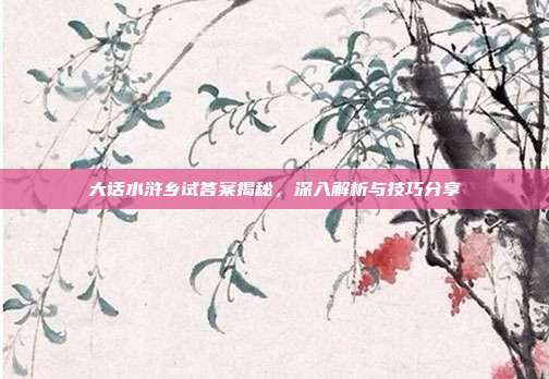 大话水浒乡试答案揭秘,深入解析与技巧分享