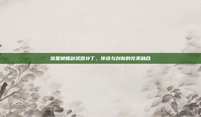 流星蝴蝶剑武器补丁,传统与创新的完美融合
