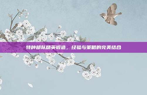 特种部队精英锻造,经验与策略的完美结合