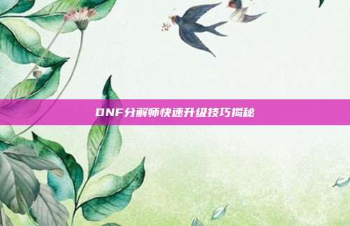 DNF分解师快速升级技巧揭秘