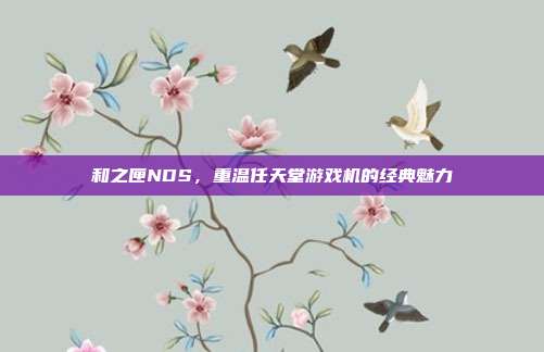和之匣NDS,重温任天堂游戏机的经典魅力