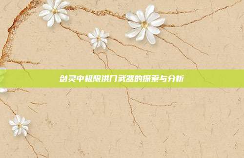 剑灵中极限洪门武器的探索与分析
