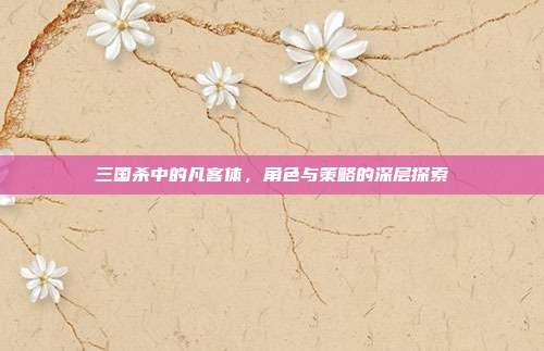 三国杀中的凡客体,角色与策略的深层探索