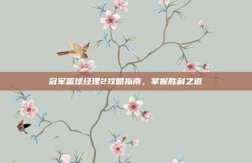 冠军篮球经理2攻略指南,掌握胜利之道