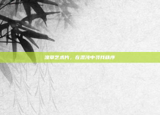 潦草艺术片,在混沌中寻找秩序