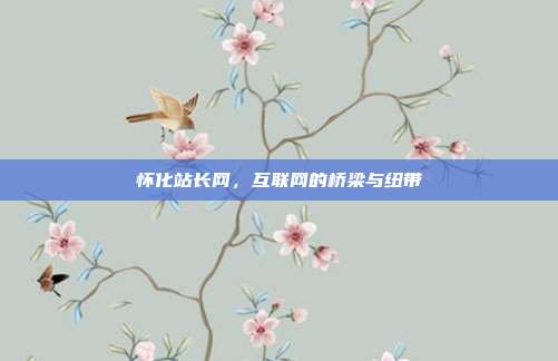 怀化站长网,互联网的桥梁与纽带