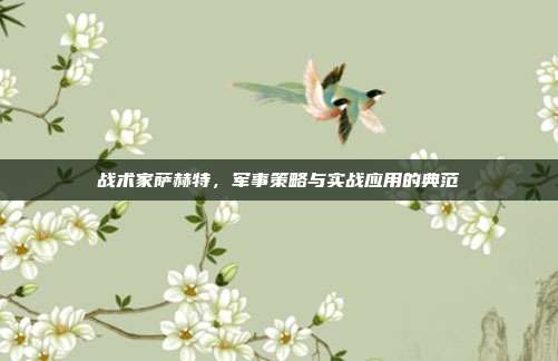 战术家萨赫特,军事策略与实战应用的典范