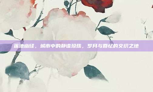 莲池幽径,城市中的静谧珍珠,岁月与回忆的交织之地