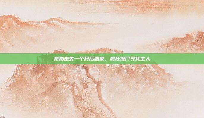狗狗走失一个月后回家,疯狂撞门寻找主人