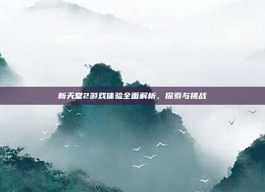 新天堂2游戏体验全面解析,探索与挑战