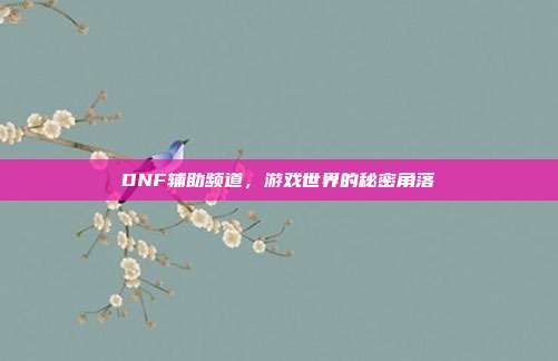 DNF辅助频道,游戏世界的秘密角落