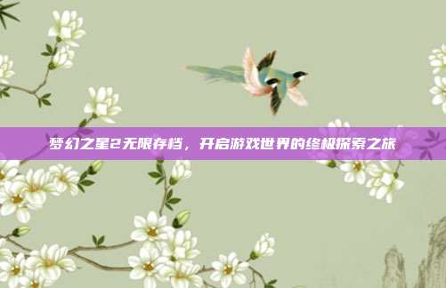 梦幻之星2无限存档,开启游戏世界的终极探索之旅
