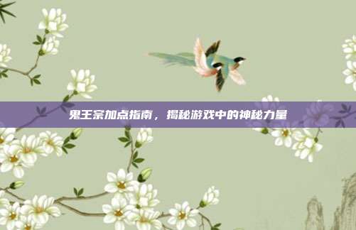鬼王宗加点指南,揭秘游戏中的神秘力量