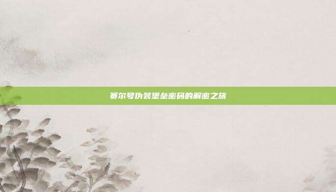 赛尔号伪装堡垒密码的解密之旅