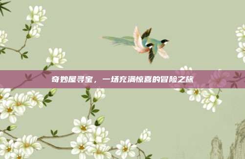 奇妙屋寻宝,一场充满惊喜的冒险之旅
