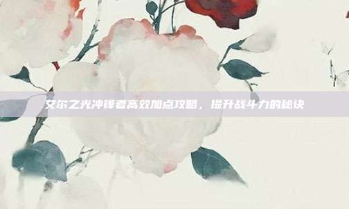 艾尔之光冲锋者高效加点攻略,提升战斗力的秘诀