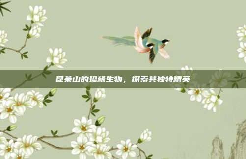 昆莱山的珍稀生物,探索其独特精英