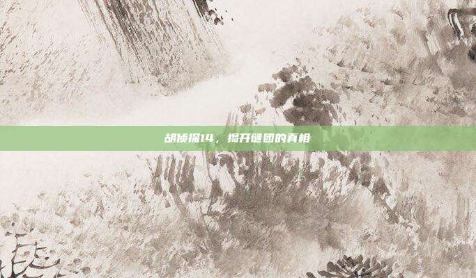 胡侦探14,揭开谜团的真相