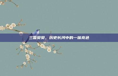 三国贝贝,历史长河中的一抹亮色