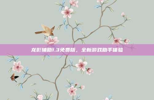 龙影辅助1.3免费版,全新游戏助手体验
