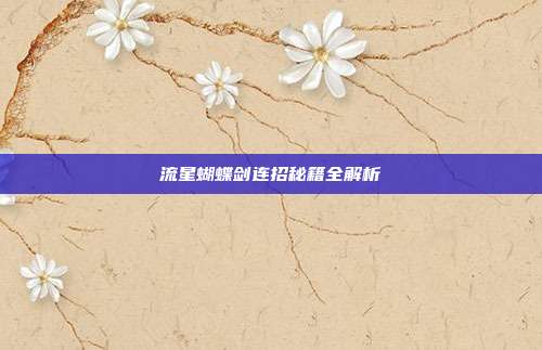 流星蝴蝶剑连招秘籍全解析