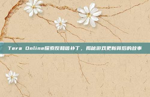 Tera Online探索反和谐补丁,揭秘游戏更新背后的故事