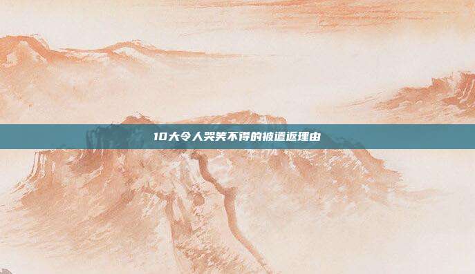 10大令人哭笑不得的被遣返理由