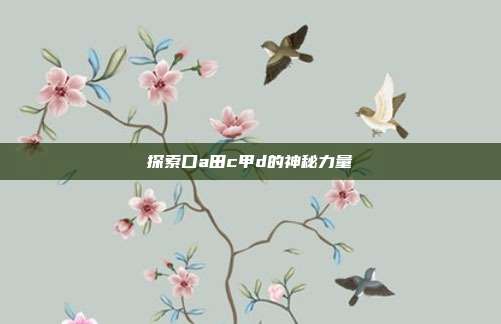 探索口a田c甲d的神秘力量
