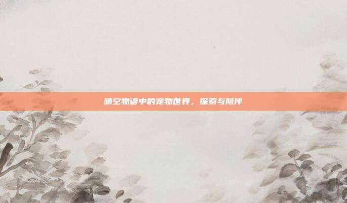 晴空物语中的宠物世界,探索与陪伴