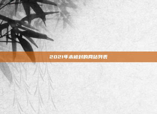 2021年未被封的网站列表