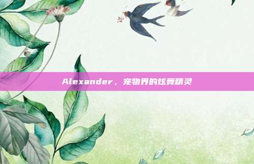 Alexander,宠物界的炫舞精灵