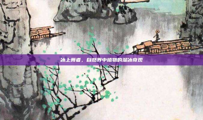 冰上舞者,自然界中植物的溜冰奇观