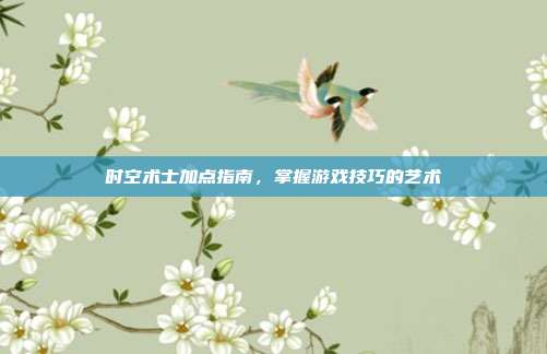 时空术士加点指南,掌握游戏技巧的艺术