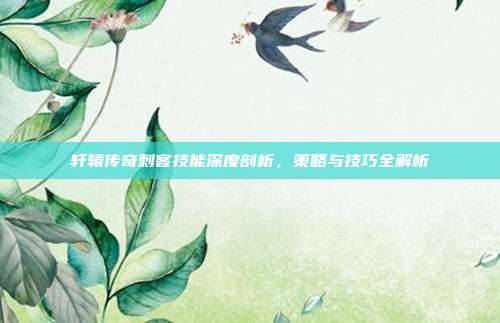 轩辕传奇刺客技能深度剖析,策略与技巧全解析