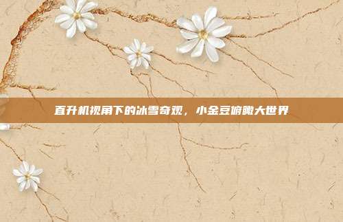 直升机视角下的冰雪奇观,小金豆俯瞰大世界
