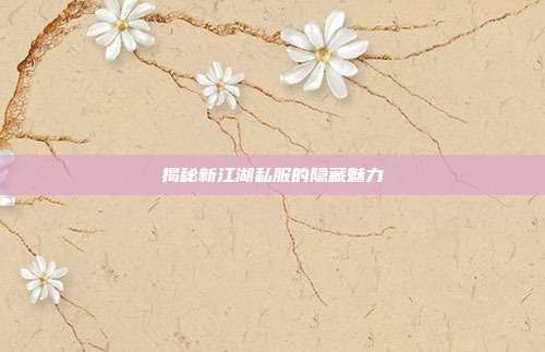 揭秘新江湖私服的隐藏魅力