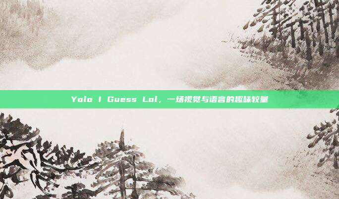 Yolo I Guess Lol,一场视觉与语言的趣味较量