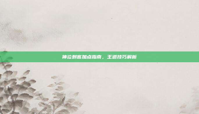 神泣刺客加点指南,王道技巧解析