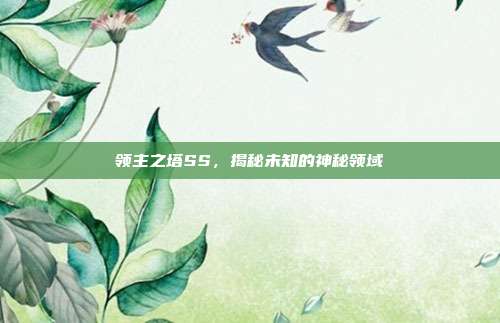 领主之塔SS,揭秘未知的神秘领域