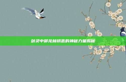 剑灵中御龙林钥匙的神秘力量揭秘