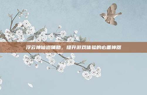 浮云神仙道辅助,提升游戏体验的必备神器