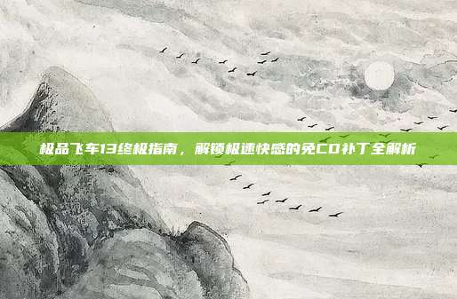 极品飞车13终极指南,解锁极速快感的免CD补丁全解析
